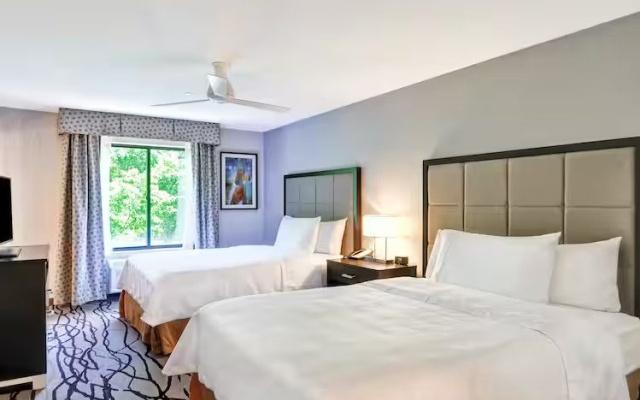 Spacious Studio Suite