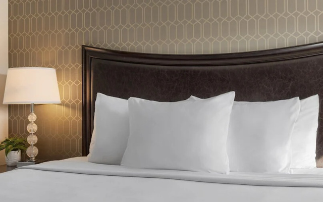 1 Bedroom Suite