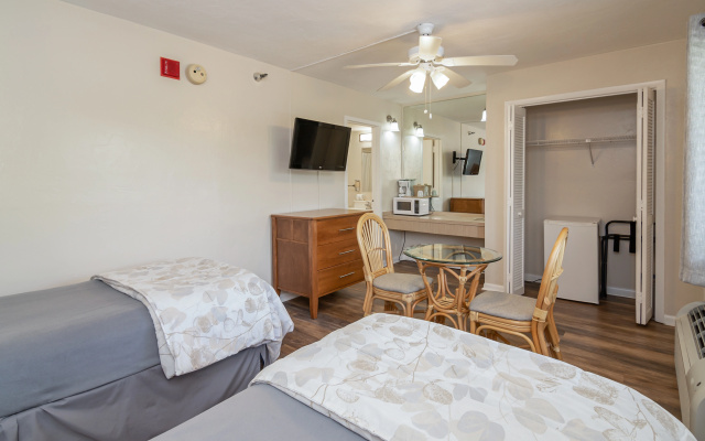 Guest Twin room