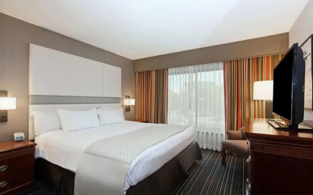 1 Bedroom Oxford Double Suite