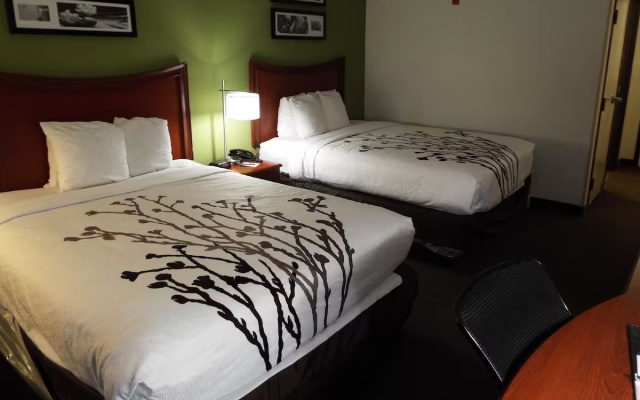 Twin room