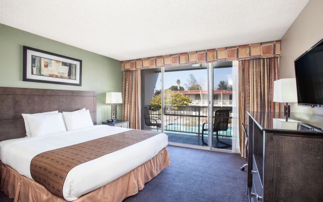 1 Bedroom Suite