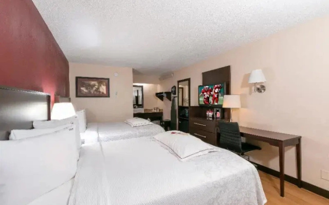 Premium Twin room