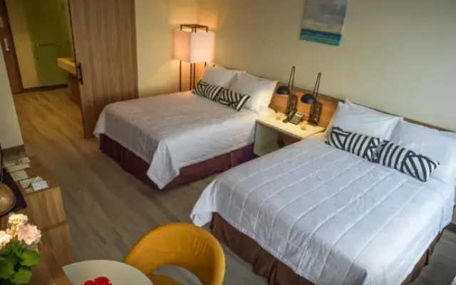 Accessible Twin room