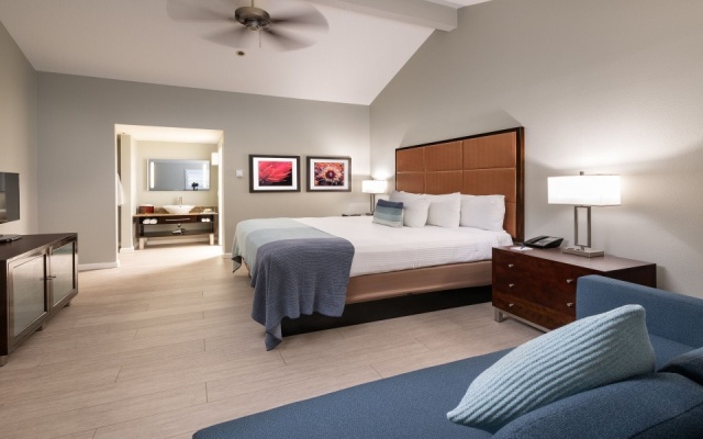 Executive Double Suite