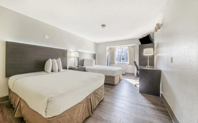 Accessible Twin Studio Suite