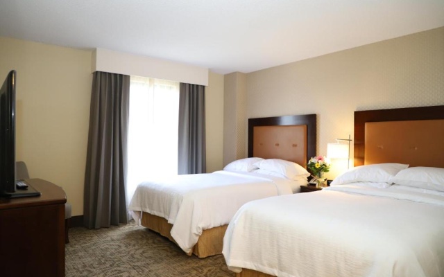 Twin Suite