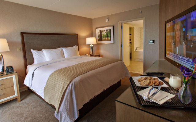 1 Bedroom Presidential Double Suite