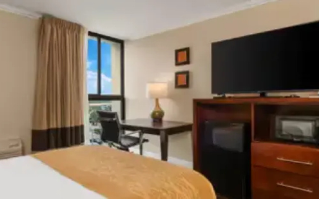 Quadruple room with ocean view