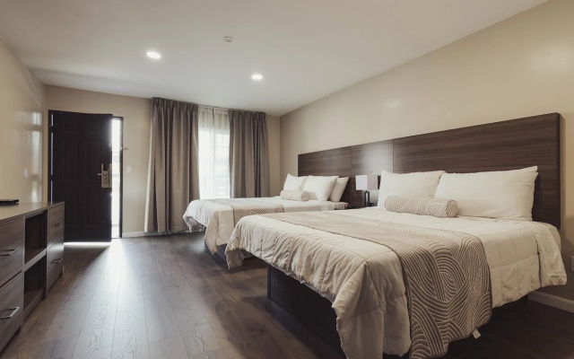 Signature Twin room