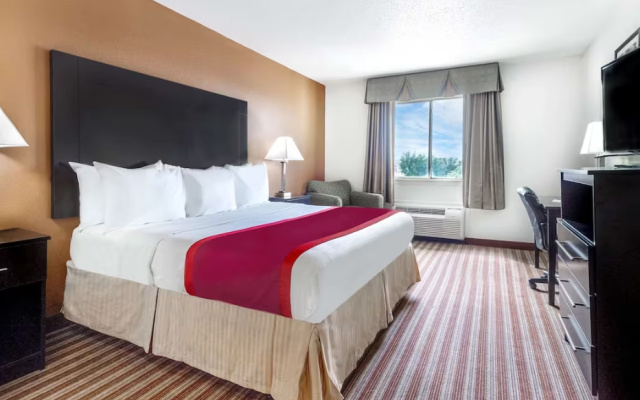 1 Bedroom Suite
