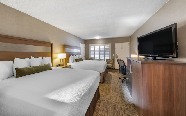 Twin room