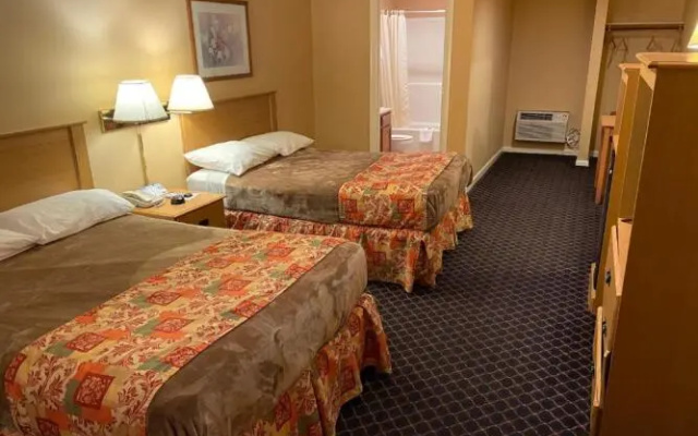 Dome Quadruple room