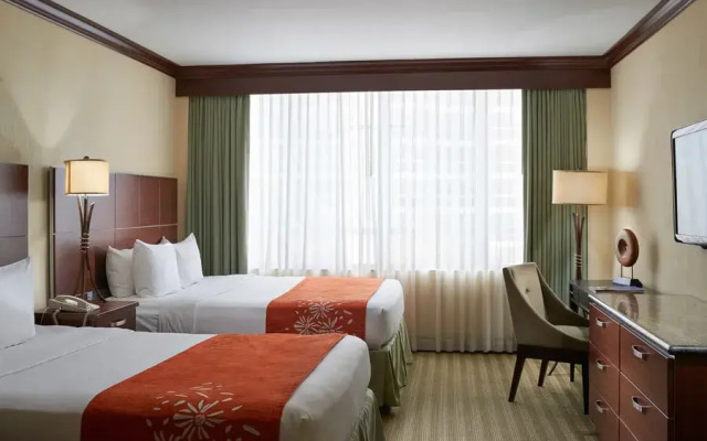 Superior Twin room City View