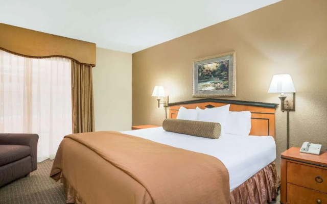 Business Suite