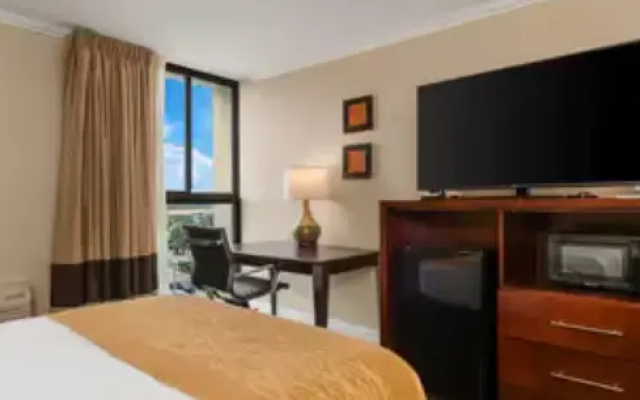 Quadruple room with city view