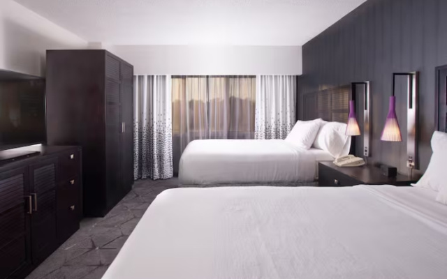 2 Rooms Quadruple Suite