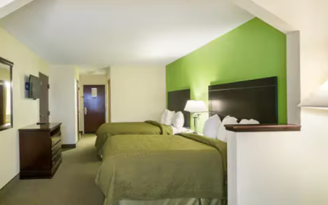 1 room Twin Suite