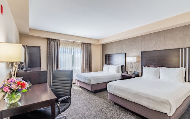 Luxury Plus Twin room