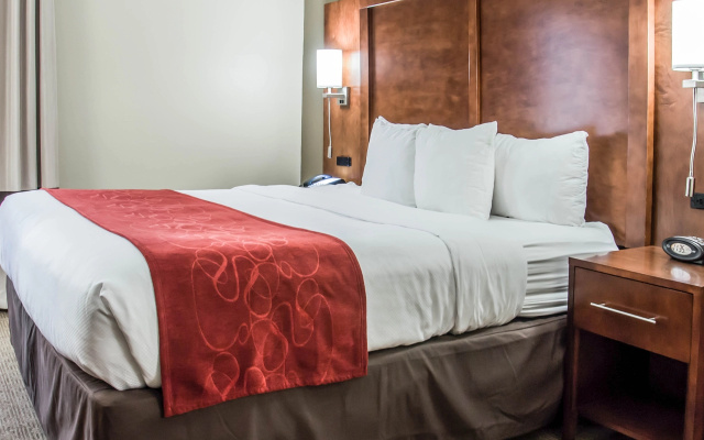 1 Bedroom Suite