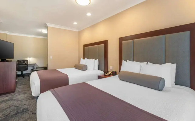 Twin Suite