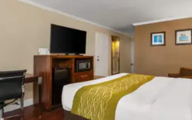 Double room with ocean view