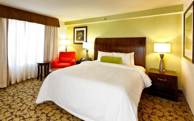 Double Studio Suite