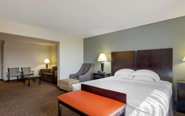 With Sofa bed Double Suite