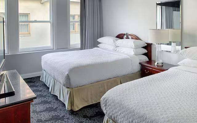 Pure Wellness Twin Suite
