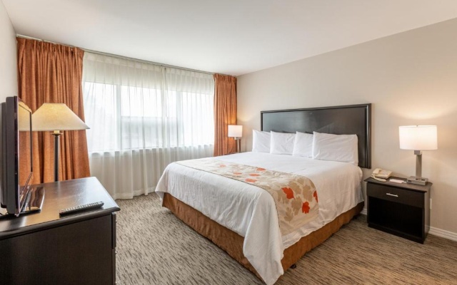 Accessible Double Suite