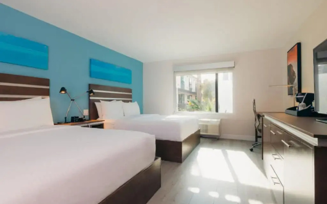 Twin Suite