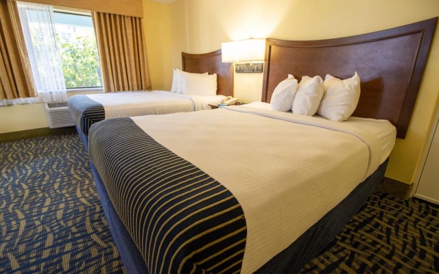 Pet Friendly Quadruple room