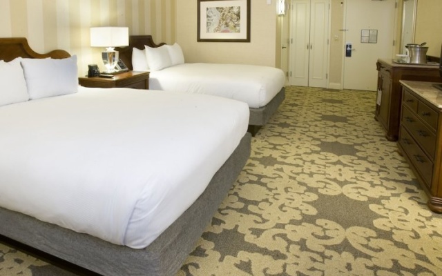 Premium Twin room with city view