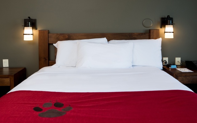 Northwoods Sextuple Suite