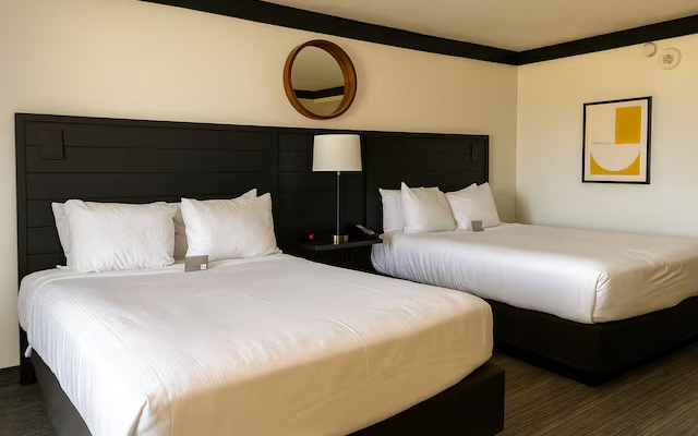 Premium Twin room with pool view