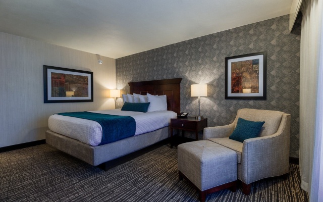 Executive Double Suite