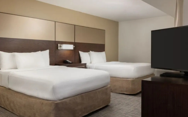 Twin Studio Suite