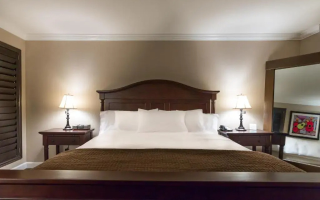 Executive Suite