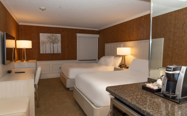 Luxury Twin room
