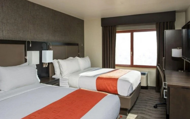 Executive Twin Suite