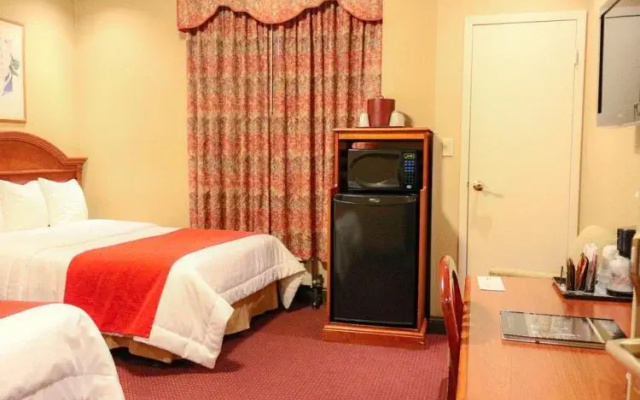 Deluxe Twin Suite