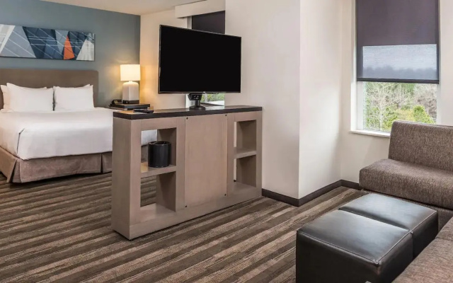 Accessible Double Kitchen Studio Suite