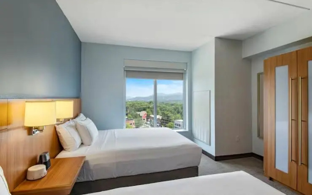 Twin room with mountain view