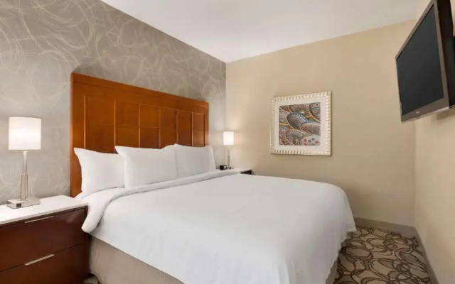 Double 2 room Suite
