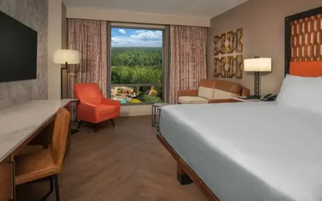 Tower room with Resort view