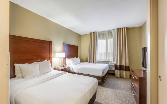 Twin Suite