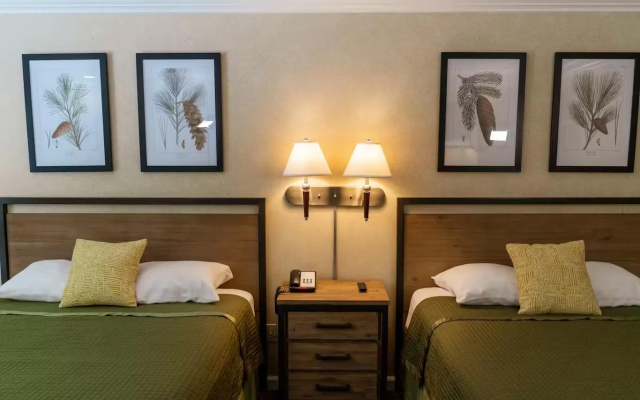 Deluxe Twin room with river view