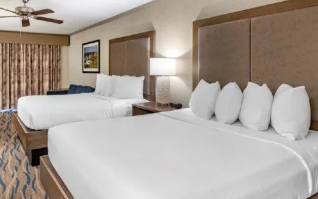 Twin Suite