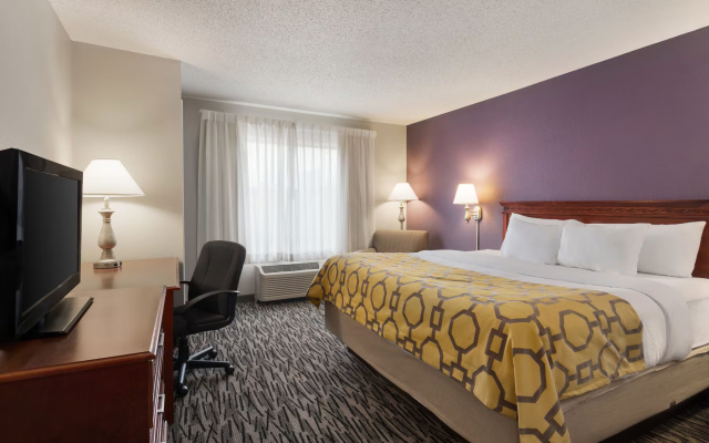 1 Bedroom Suite