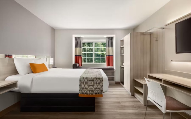 Double Studio Suite